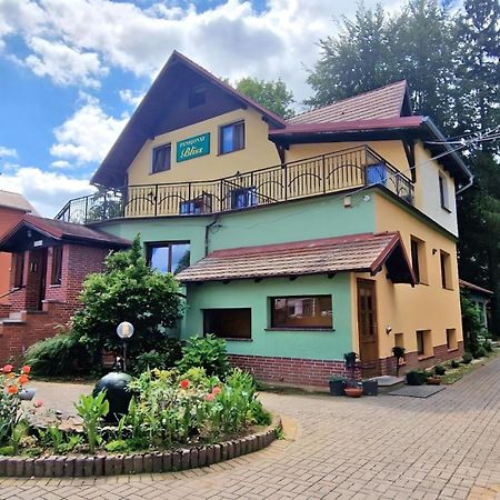 Pensjonat Bliss Поляница-Здруй Экстерьер фото
